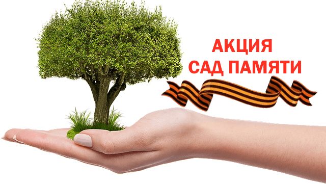 tree 1247796 640
