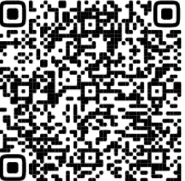 QR 11